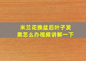 米兰花换盆后叶子发黑怎么办视频讲解一下