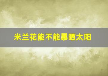 米兰花能不能暴晒太阳