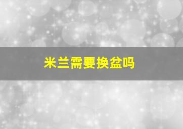 米兰需要换盆吗