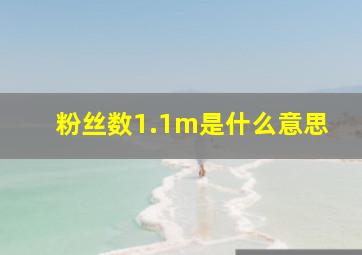 粉丝数1.1m是什么意思