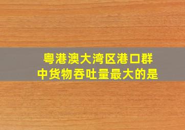 粤港澳大湾区港口群中货物吞吐量最大的是