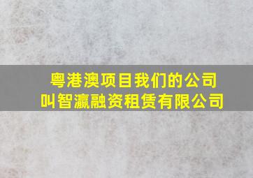 粤港澳项目我们的公司叫智瀛融资租赁有限公司