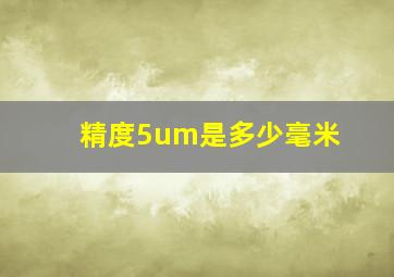 精度5um是多少毫米