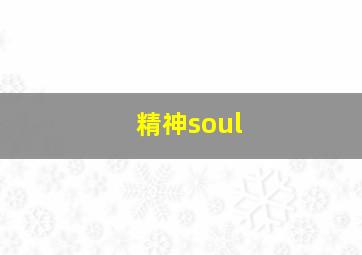 精神soul