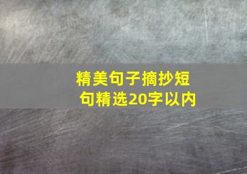 精美句子摘抄短句精选20字以内