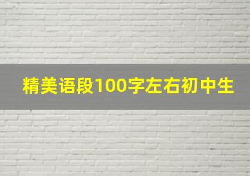 精美语段100字左右初中生