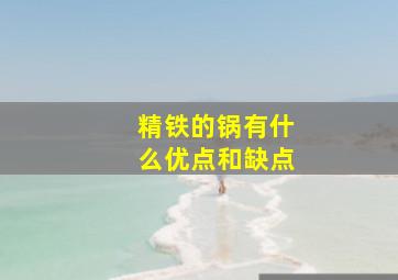 精铁的锅有什么优点和缺点