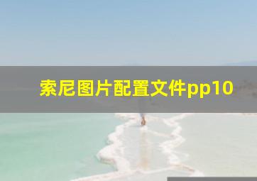 索尼图片配置文件pp10