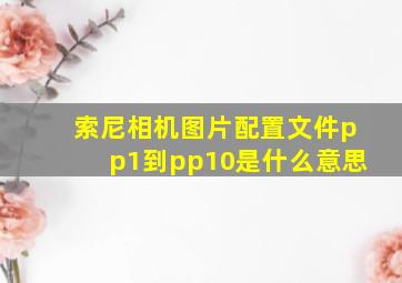 索尼相机图片配置文件pp1到pp10是什么意思