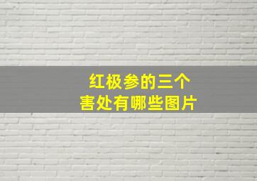 红极参的三个害处有哪些图片