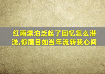 红雨漂泊泛起了回忆怎么潜浅,你眉目如当年流转我心间