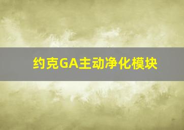 约克GA主动净化模块