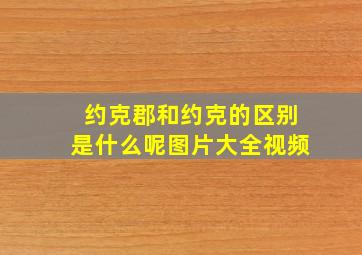 约克郡和约克的区别是什么呢图片大全视频