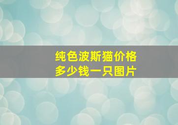 纯色波斯猫价格多少钱一只图片