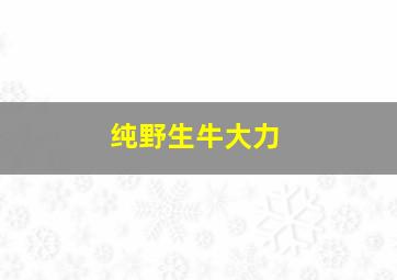 纯野生牛大力