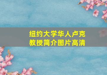 纽约大学华人卢克教授简介图片高清