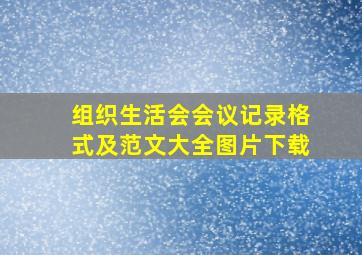 组织生活会会议记录格式及范文大全图片下载