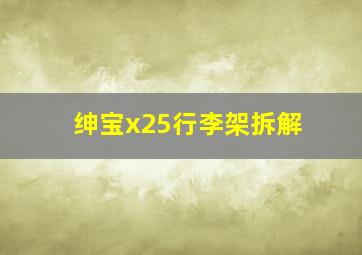 绅宝x25行李架拆解