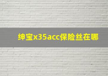 绅宝x35acc保险丝在哪