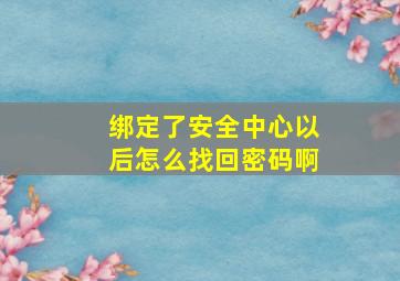 绑定了安全中心以后怎么找回密码啊