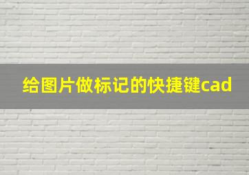 给图片做标记的快捷键cad