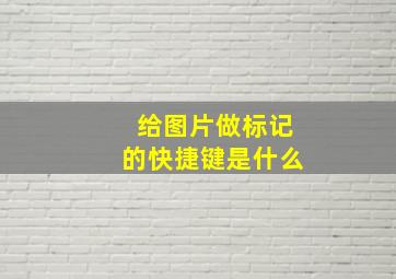 给图片做标记的快捷键是什么