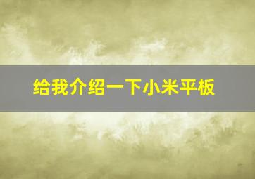 给我介绍一下小米平板