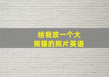 给我放一个大熊猫的照片英语