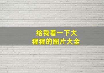 给我看一下大猩猩的图片大全