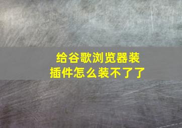 给谷歌浏览器装插件怎么装不了了