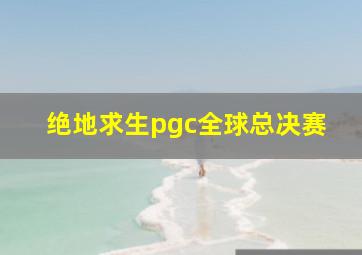 绝地求生pgc全球总决赛