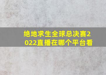 绝地求生全球总决赛2022直播在哪个平台看