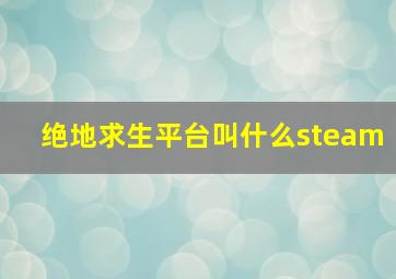 绝地求生平台叫什么steam