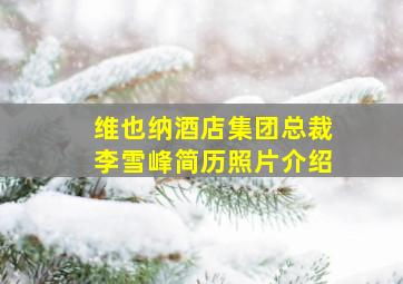 维也纳酒店集团总裁李雪峰简历照片介绍