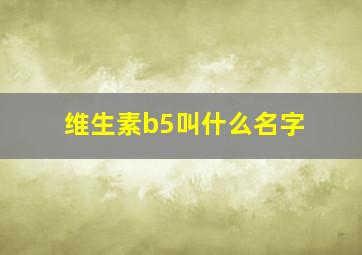 维生素b5叫什么名字