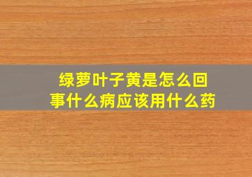 绿萝叶子黄是怎么回事什么病应该用什么药