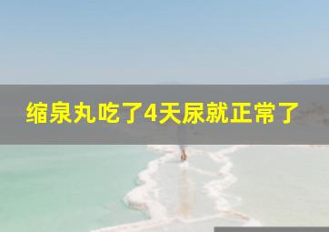 缩泉丸吃了4天尿就正常了