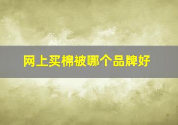 网上买棉被哪个品牌好