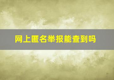 网上匿名举报能查到吗