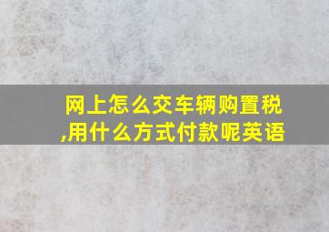 网上怎么交车辆购置税,用什么方式付款呢英语