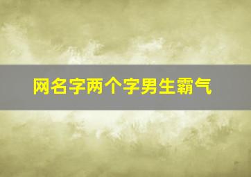 网名字两个字男生霸气