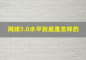 网球3.0水平到底是怎样的