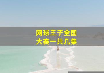 网球王子全国大赛一共几集