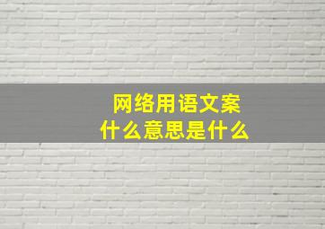 网络用语文案什么意思是什么