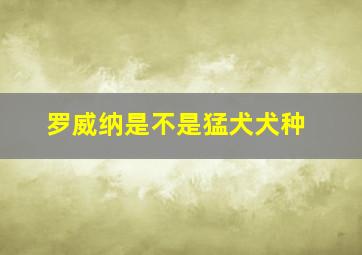 罗威纳是不是猛犬犬种