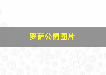 罗萨公爵图片