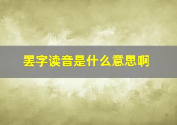 罢字读音是什么意思啊