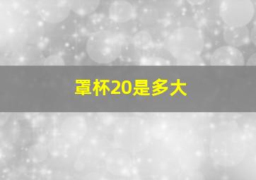 罩杯20是多大