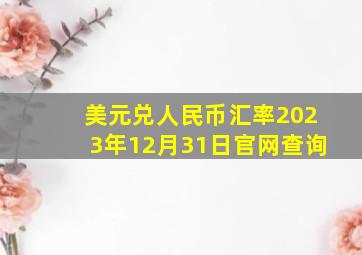 美元兑人民币汇率2023年12月31日官网查询