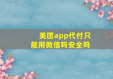 美团app代付只能用微信吗安全吗